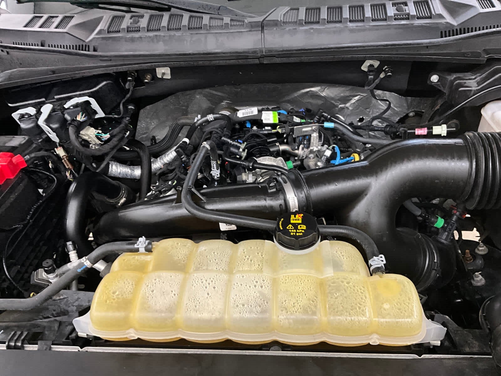 2019 Ford F-150 XL 4WD SuperCrew 5.5 Box